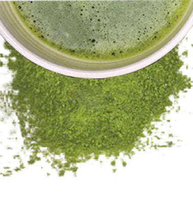 Matcha